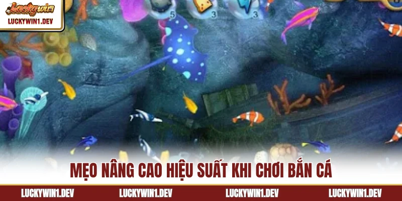 Mẹo nâng cao hiệu suất khi chơi bắn cá